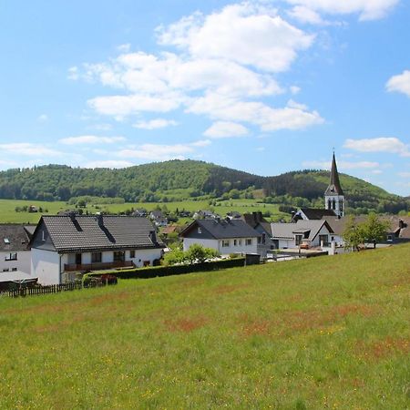 Ferienwohnungen Hartmann Медебах Экстерьер фото